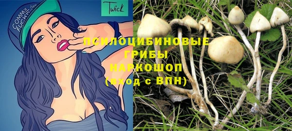 тгк Киреевск