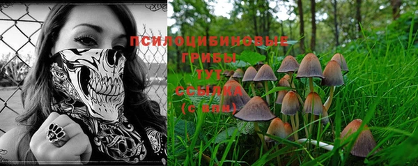 мяу мяу кристалл Кинешма