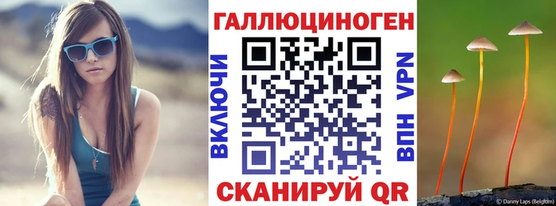 Псилоцибиновые грибы Cubensis  Купить  Кондрово 